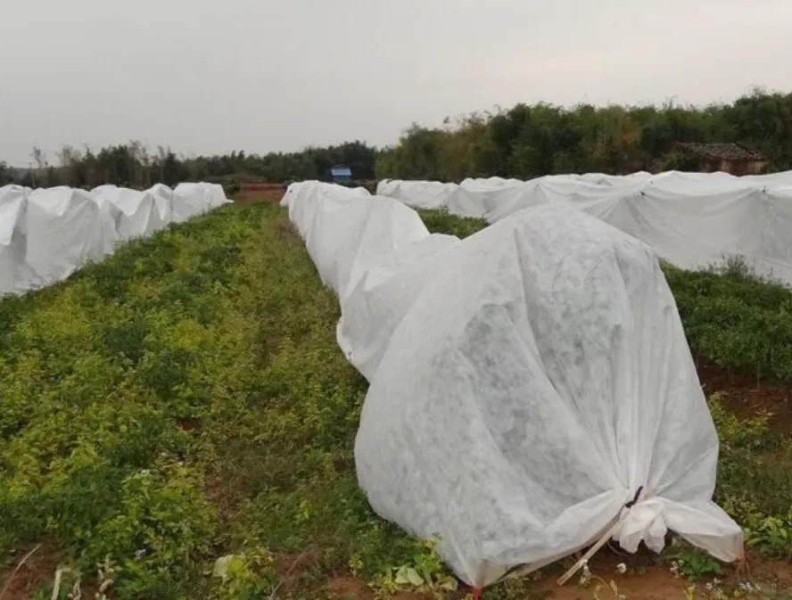 pp agriculture nonwoven fabric pp agriculture nonwoven fabric